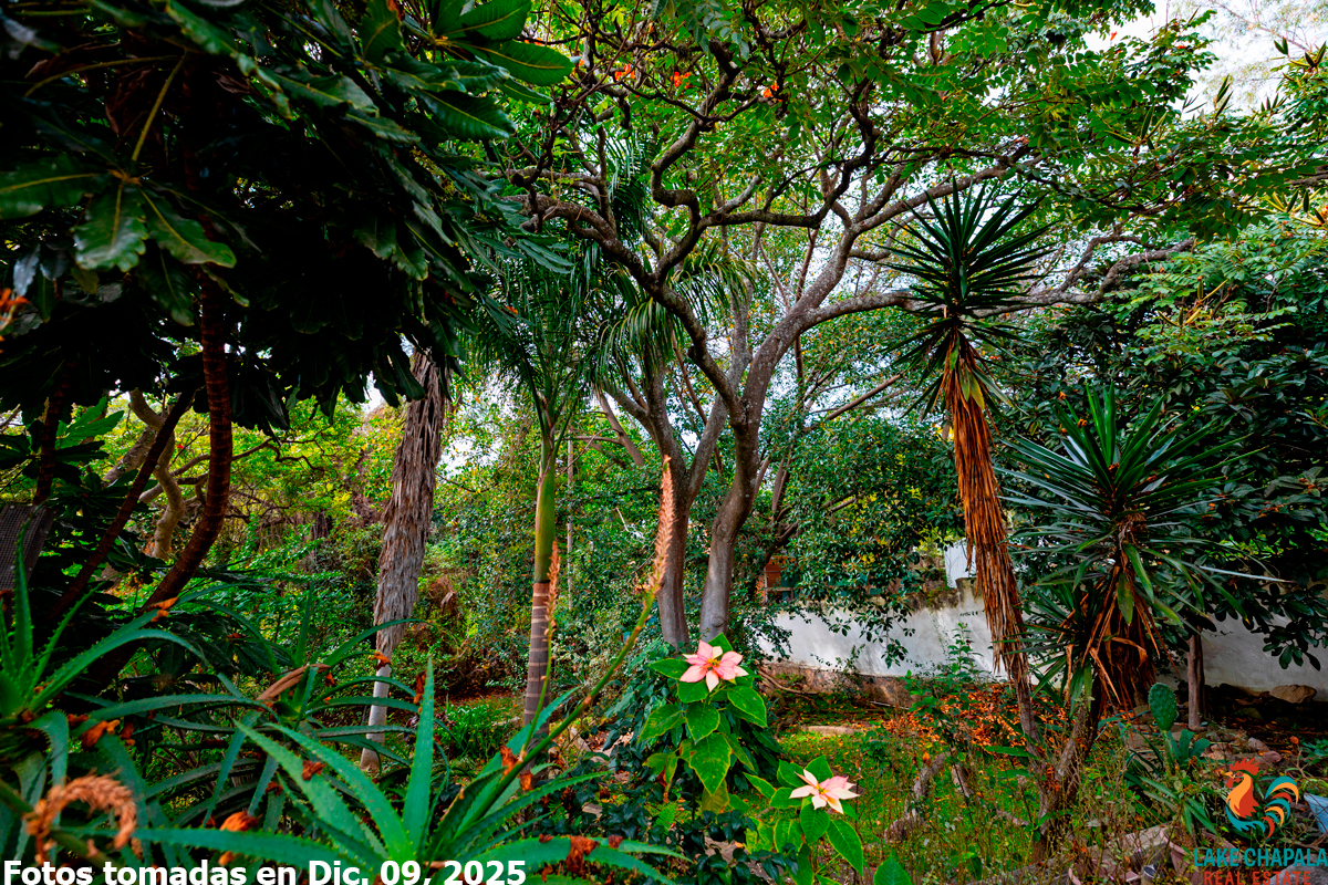 Home for Sale Garden Retreat Chapala Haciendas (18)