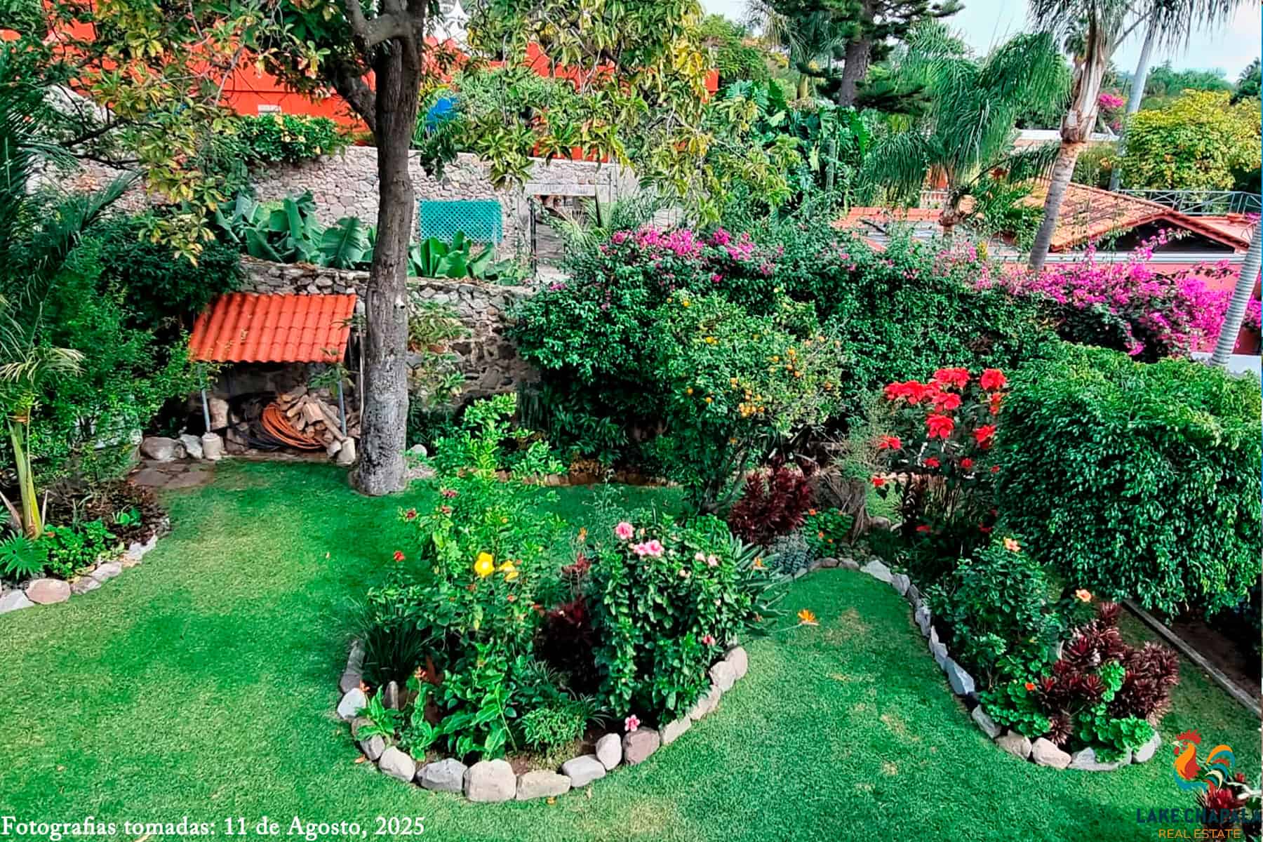 02 Lush Garden with mango, avocado, mandarin, pomegranate, lime as well as masses of tropical flowers