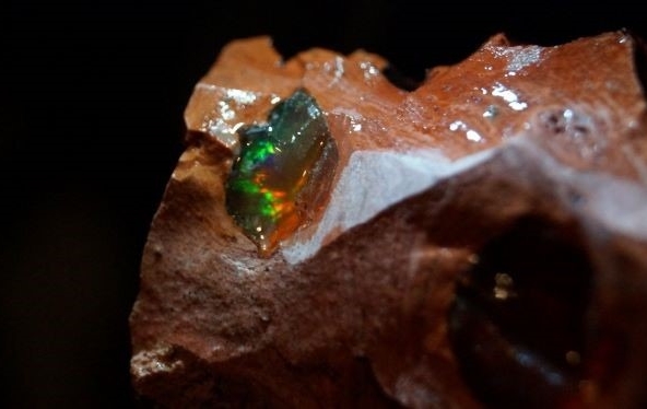 OPAL FOTO 3