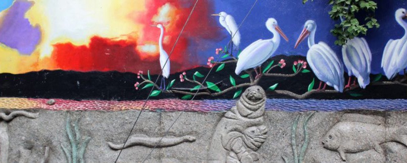 Ajijic landscape banner