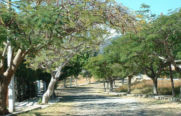 Brisas