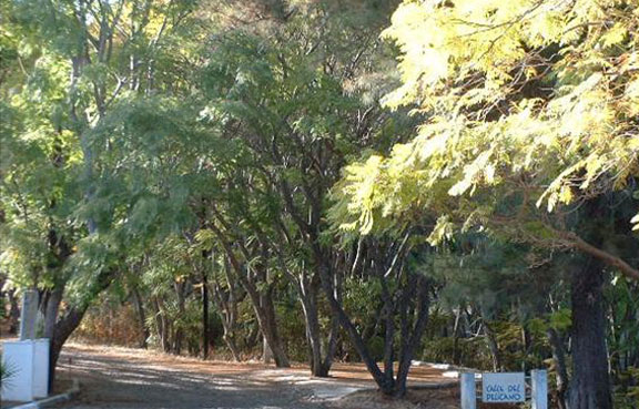 Chapala Haciendas