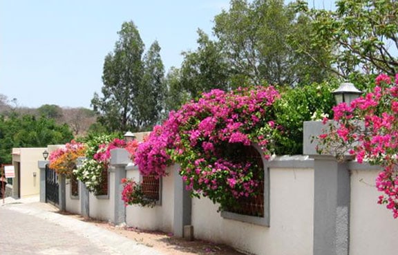 Chula Vista Norte