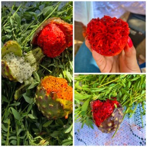 Pitaya