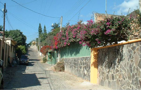 Las Salvias