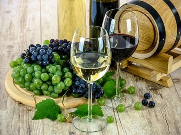 Wines of Mexico scaled