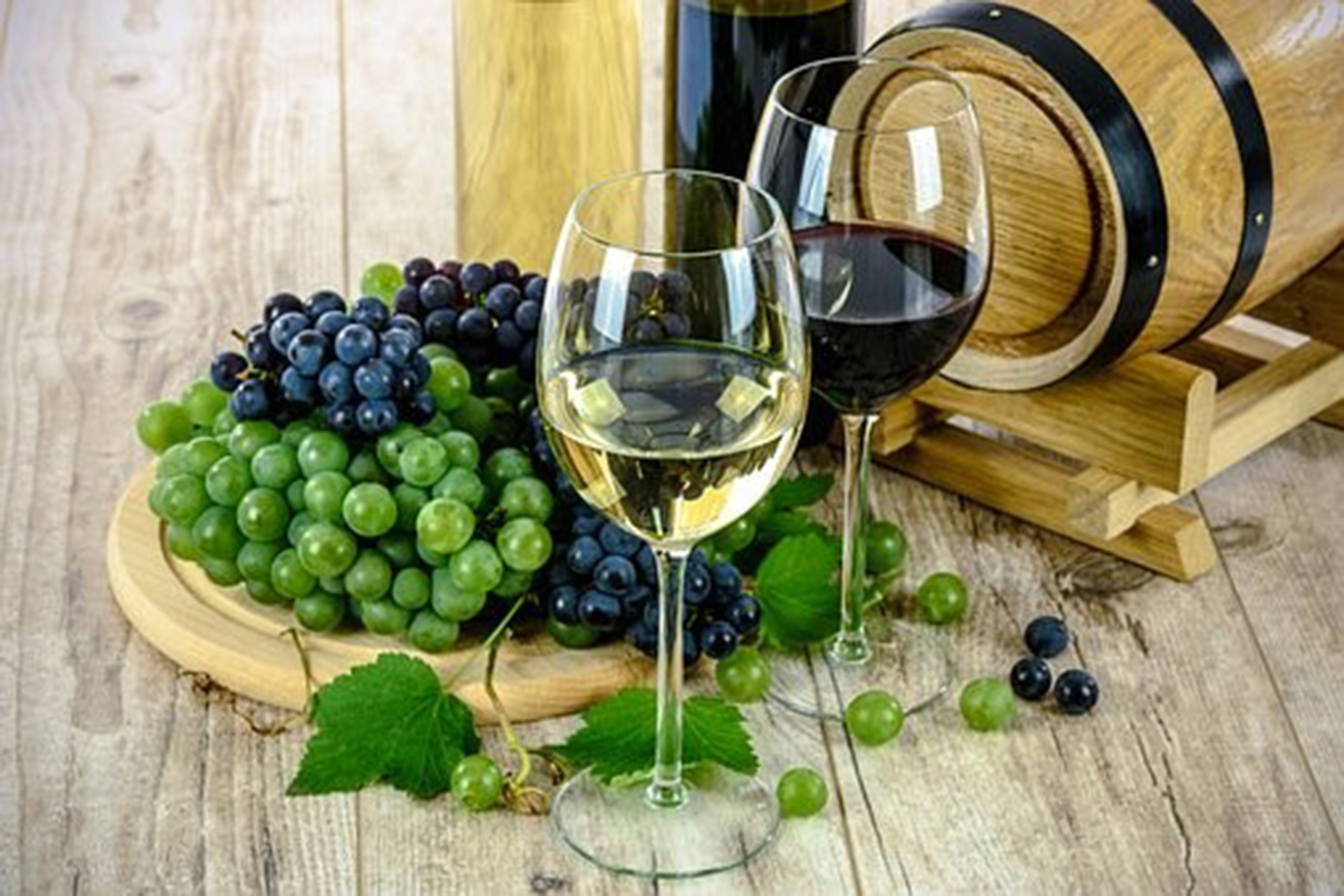 Wines of Mexico scaled