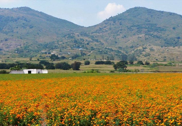 east of chapala1