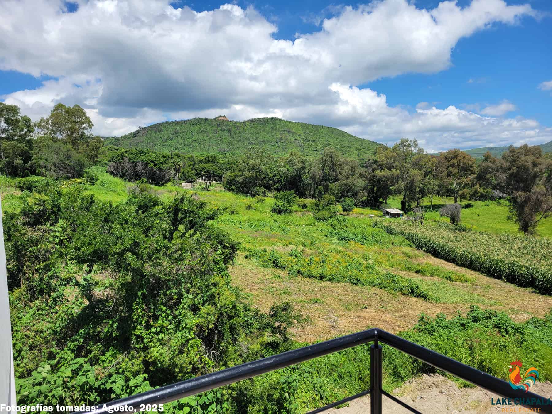 OWNER'S PHOTO GREEN VIEW 2