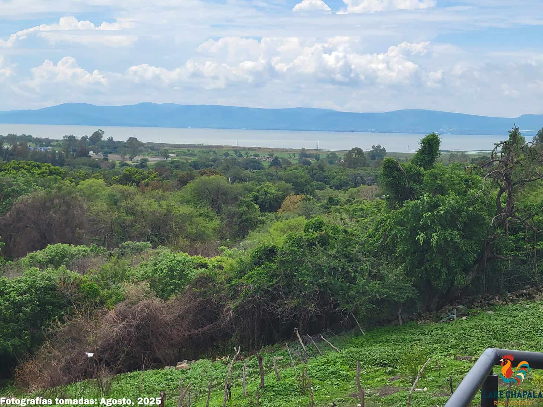 OWNER'S PHOTO GREEN VIEW