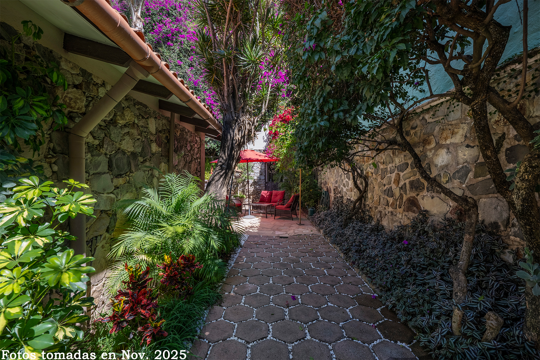 17 Lush Mature Gardens