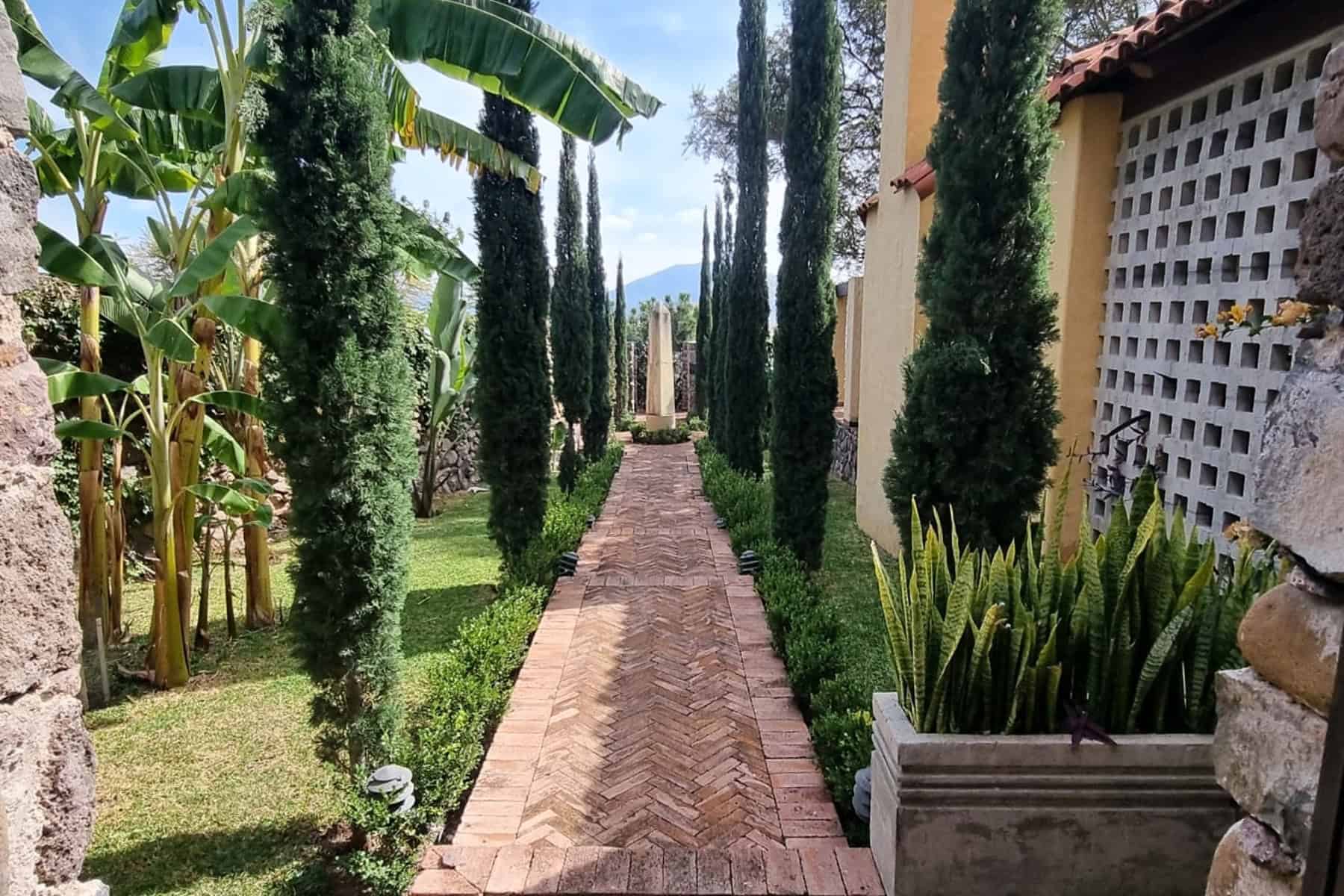 13 The Mediteranean Walk