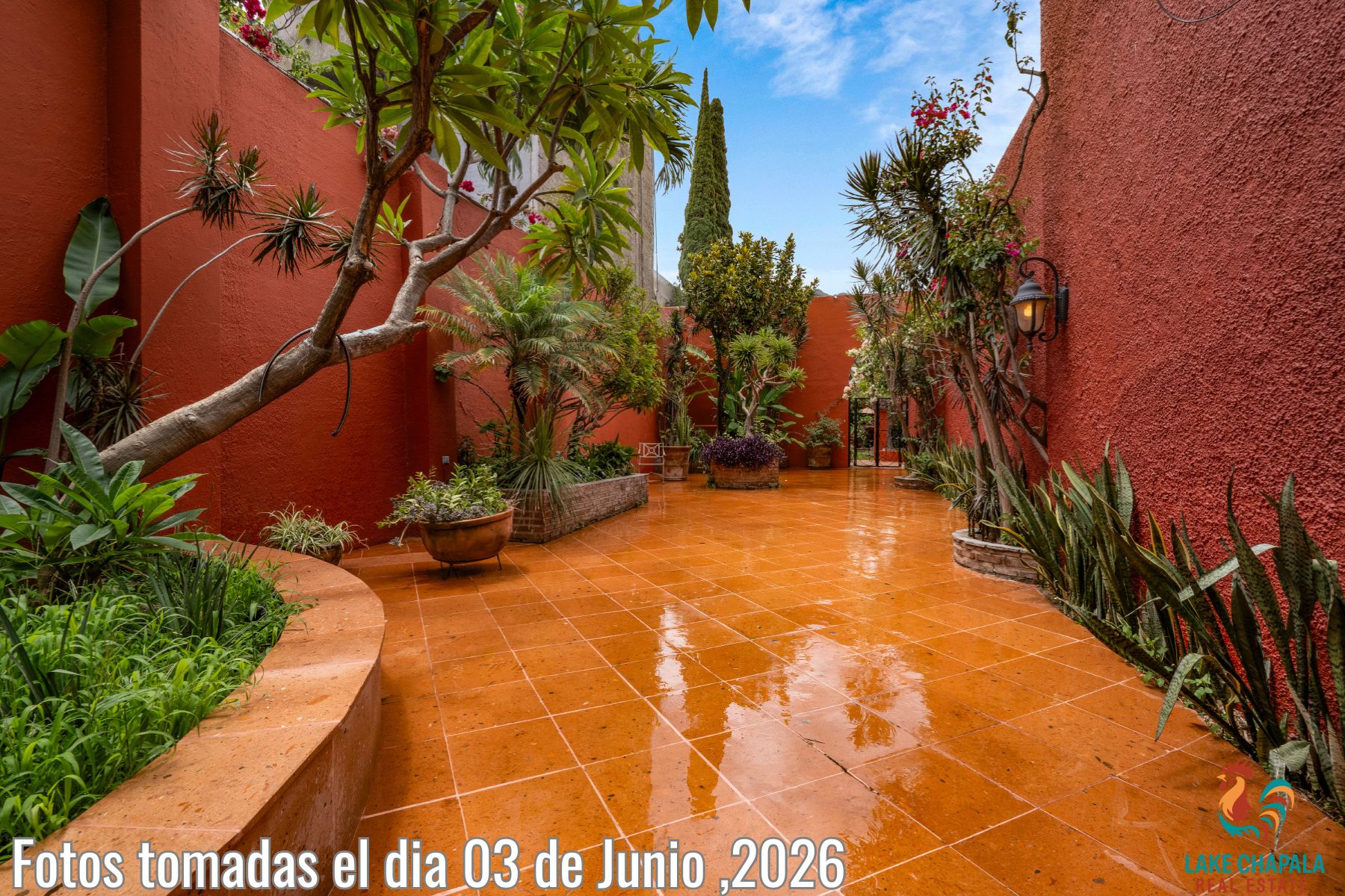 014 Tropical Rear Courtyard