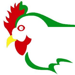Choose Chapala logo